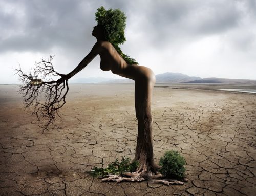 Gartenhandel hat erkannt: Mehr Umsatz mit Kauf auf Rechnung