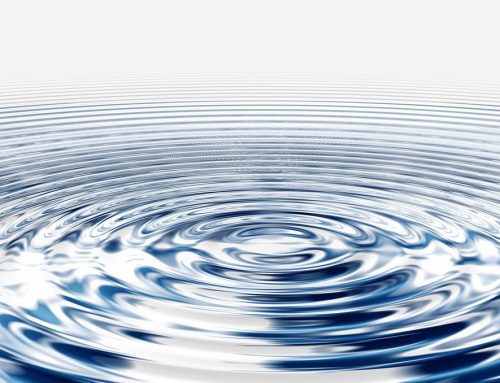 Liquidität steht im Mittelpunkt